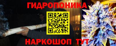 прущие грибы Заводоуковск