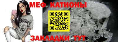 прущие грибы Заводоуковск