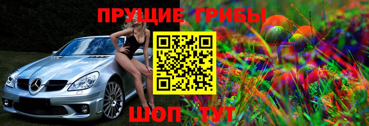 Галлюциногенные грибы Cubensis  Вход с VPN  Псилоцибиновые грибы прущие грибы  дарнет шоп  Кунгур 